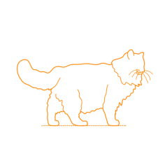 Animals Cats Ragamuffin Cat Silhouette Svg Vector, Free Vectors File